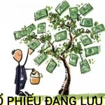 Cổ phiếu đang lưu hành là gì? Cách tính số lượng cổ phiếu đang lưu hành chính xác, đơn giản nhất