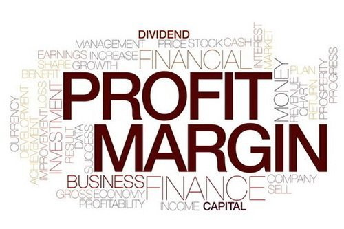 Đặc điểm của Profit Margin là gì?