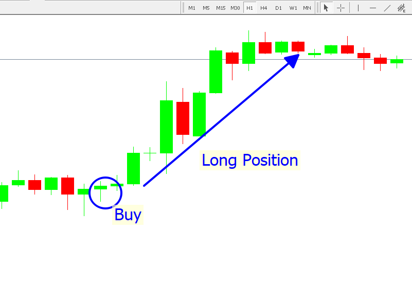 Long Position là gì?