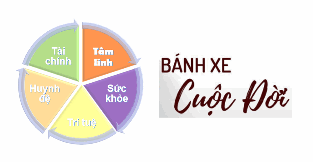 Vai trò của bánh xe cuộc đời